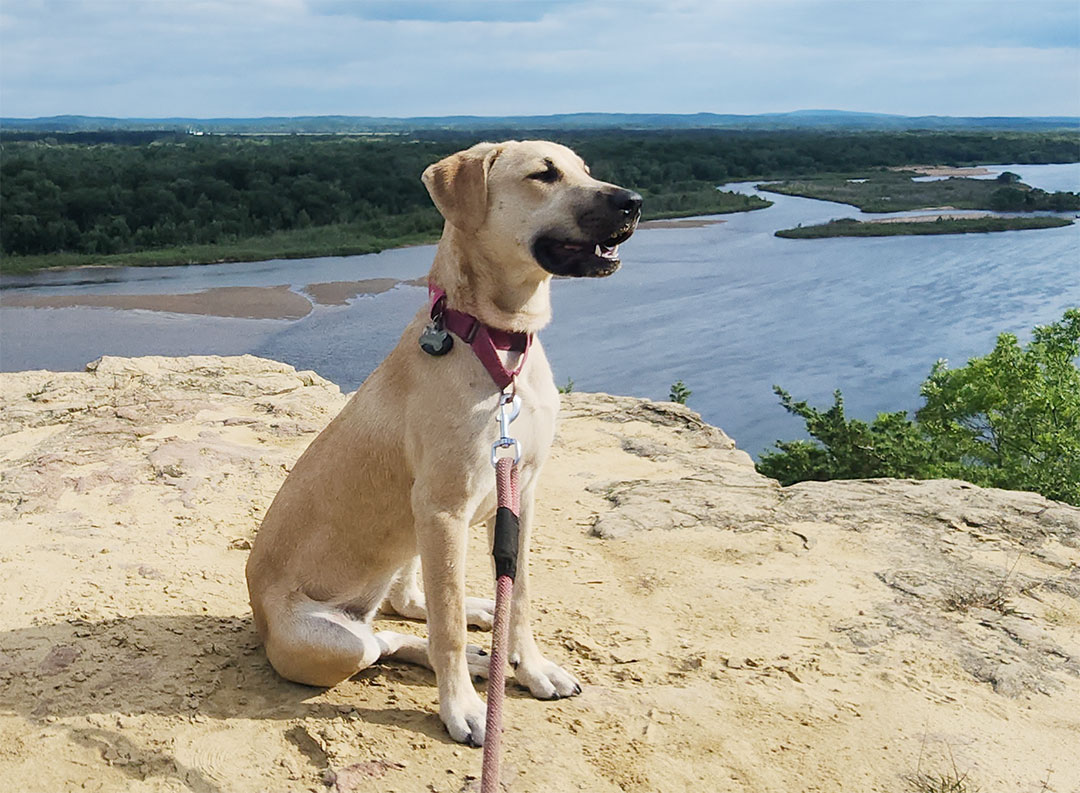 Max looking for a sausage from the FOODPROS 8055, the largest capacity roller grill for its footprint.