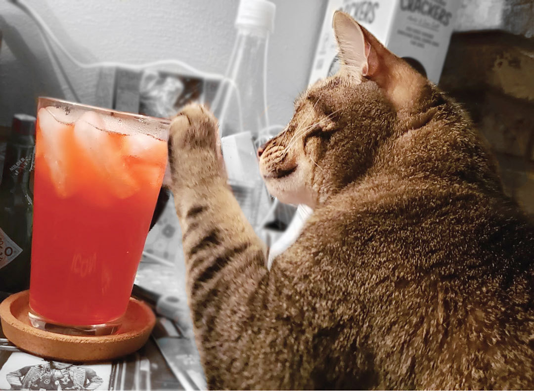 Wayne and Garth love ice, cups, lids and straws from convenience stores.
